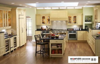 橱柜选购指南 盛特厨房的智慧之选