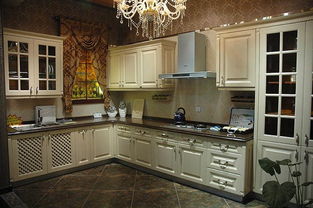 德v整体橱柜 进口吸塑系列与一站式卫浴及日用杂货批发